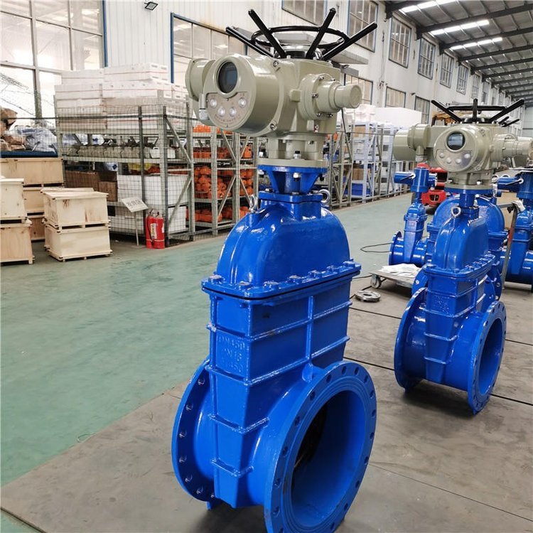 電動閘閥Z941h -64 DN500（石化行業、煉油廠、化工廠）