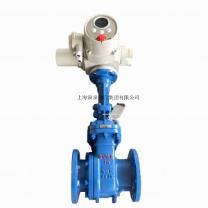 電動(dòng)閘閥z941h-16c dn100智能一體化220V